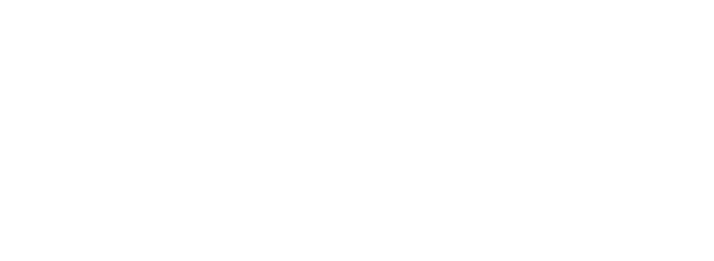 logo-white-icon-spacier